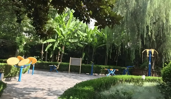 美人乱：迷糊丫头误惹情债